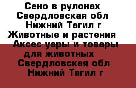 Сено в рулонах - Свердловская обл., Нижний Тагил г. Животные и растения » Аксесcуары и товары для животных   . Свердловская обл.,Нижний Тагил г.